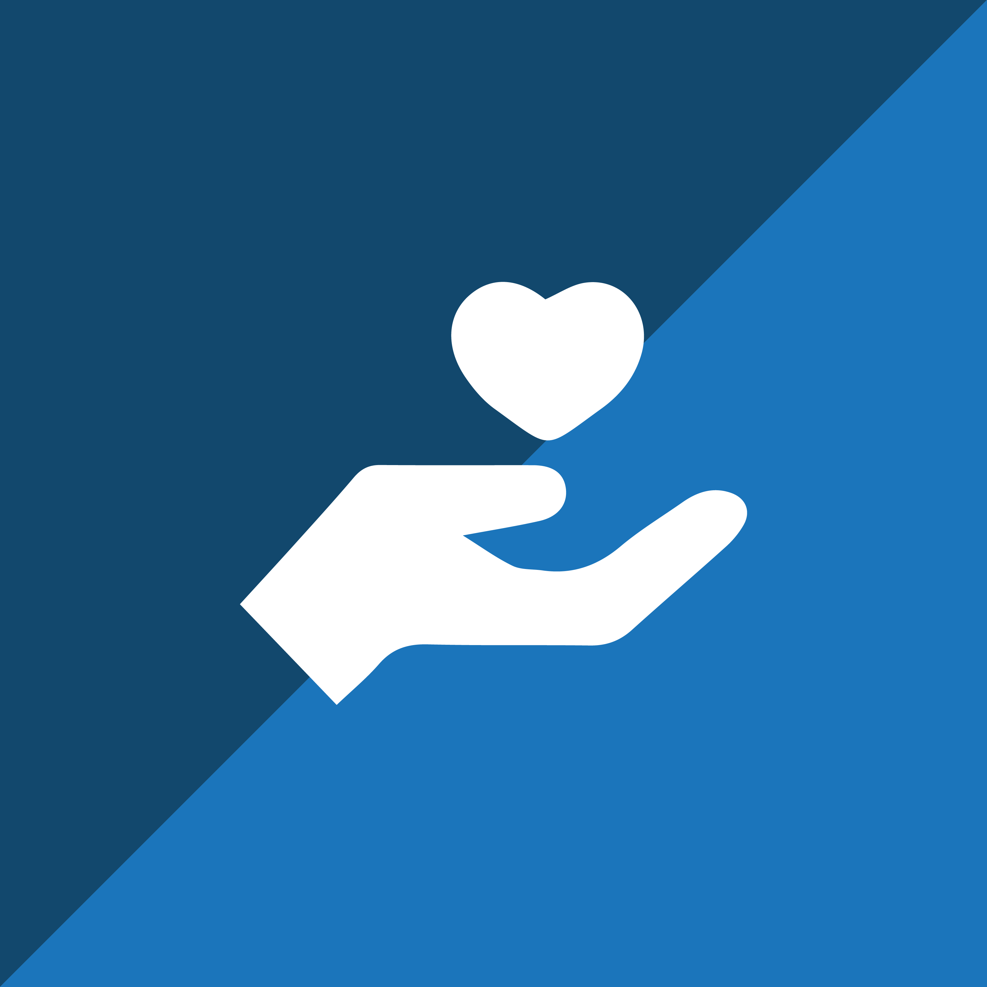 Custom Donation